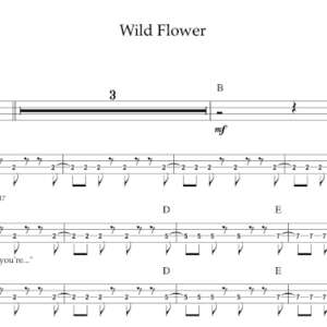 Bass Guitar Tablature for "Wild Flower" by The Cult.