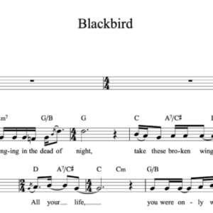 Melody Sheet Music for "Blackbird" by The Beatles