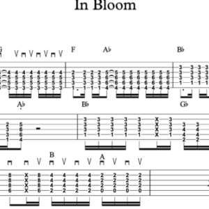 Lead Guitar Tablature for "In Bloom" by Nirvana
