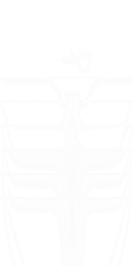 E9 Chord