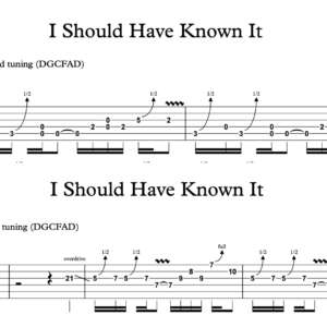 Lead Guitar Tablature for "I Should Have Known It" by Tom Petty