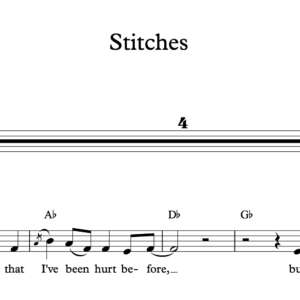Melody Sheet Music for "Stitches" by Shawn Mendes