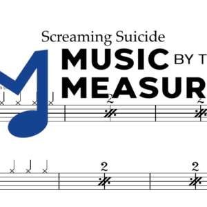 Screaming Suicide by Metallica accurate drums sheet music transcription preview